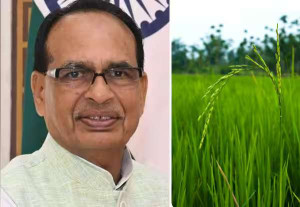 அரிசி உற்பத்தியில் சீனாவை விஞ்சியது இந்தியா: மத்திய அமைச்சர் சவுகான் பெருமிதம்