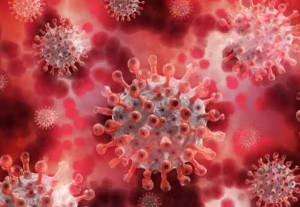 நாட்டிலேயே கேரளாவில் தான் அதிக கொரோனா நோயாளிகள்; 35% தொற்றாளர்கள் பதிவு