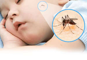 டெங்கு, கொரோனா பரவல்; மாணவர்கள் மீது கவனம் அவசியம்