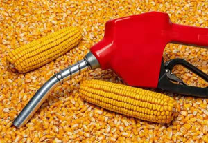 எத்தனால் இறக்குமதிக்கு தடை: இந்தியா மீது அமெரிக்கா புகார்