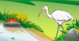 கீரிப்பிள்ளையும் கொக்கும்