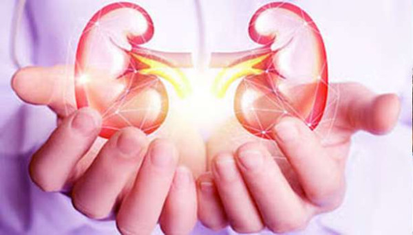 அதிகரிக்கும் சிறுநீரக பாதிப்பு: அறிகுறியும் எச்சரிக்கையும்!