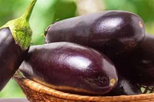 கத்தரிக்காய்  சாப்பிடுவதால்  ஏற்படும்  நன்மைகள்  பற்றி  தெரியுமா?