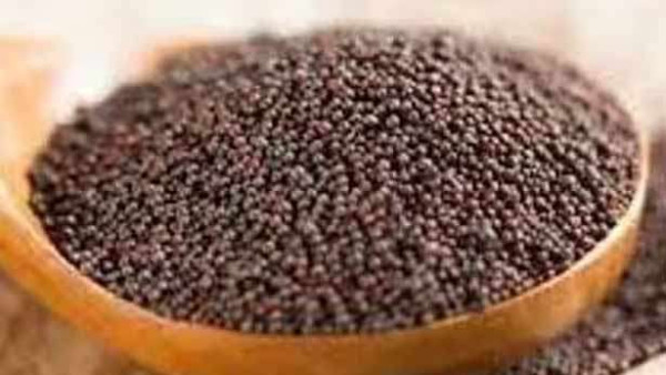 கடுகு சாப்பிடுவதால் ஏற்படும் நன்மைகள் பற்றித் தெரியுமா? 