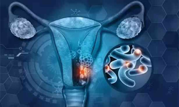நமது உடலில் நல்ல பாக்டீரியா என்னென்ன வேலைகள் செய்கின்றன?