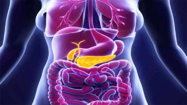 கணைய பாதிப்புக்கான  காரணங்கள் பற்றித் தெரியுமா ?