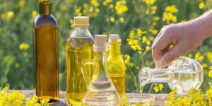 எள் எண்ணெய் உடலுக்கு என்னென்ன நன்மைகள் செய்கிறது தெரியுமா?