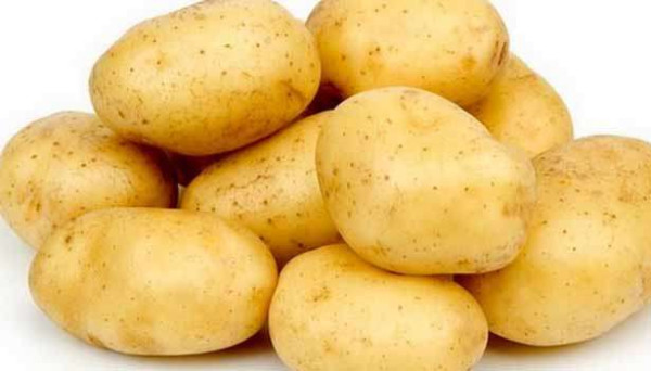 உருளைகிழங்கை ஏன் தினமும்  சாப்பிட வேண்டும் தெரியுமா..?