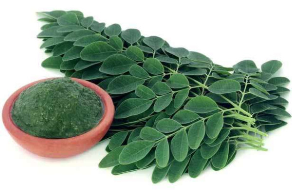 முருங்கை கீரையில் உள்ள சத்துக்கள் ப்ற்றித் தெரியுமா?