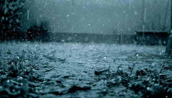 காலையும் காதலும் மழையும்