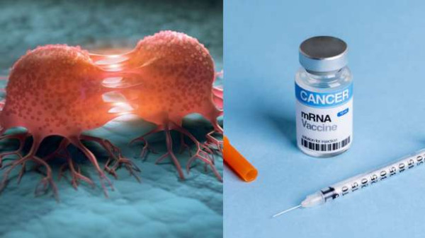 புற்றுநோய்க்கான தடுப்பூசியை கண்டுபிடிக்கும் பணியில் சர்வதேச விஞ்ஞானிகள்