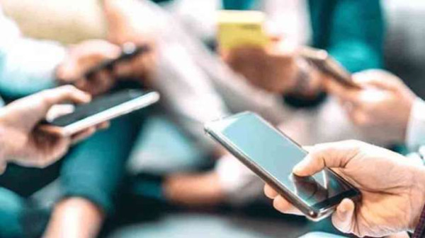 யாழ்ப்பாணத்தில் கஞ்சா செடி வளர்த்தவருக்கு நேர்ந்த கதி