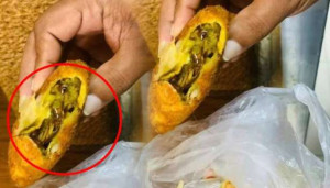 கொழும்பில் கரப்பான் பூச்சியுடன் உணவு விற்பனை 