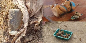 செம்மணியில் அதிர்ச்சியை ஏற்படுத்திய சிசுவின் எச்சம்!