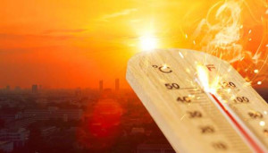 இலங்கையில் நரம்பு மண்டல செயற்பாடு குறைவடைய கூடிய வாய்ப்பு 