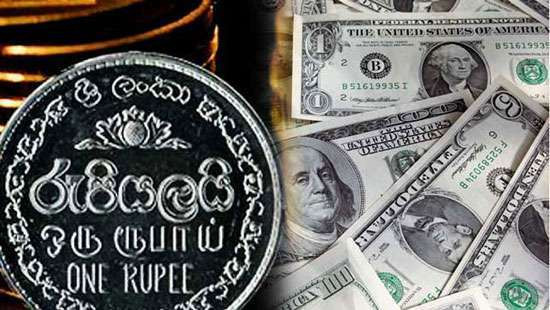 அமெரிக்க டொலரின் பெறுமதி அதிகரிப்பு! இலங்கை மத்திய வங்கி வெளியிட்ட அறிவிப்பு