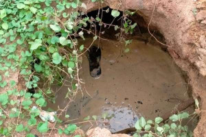 இலங்கையில் தாய் - இரு பிள்ளைகளை பலியெடுத்த குழி