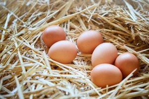 இலங்கையில் திடீரென முட்டை விலையில் பாரிய மாற்றம்