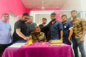 யாழில் கோவில் நகைகளை திருடிய குருக்கள் கைது