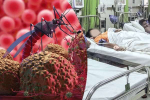  இலங்கையில் ஆபத்தாக மாறும் மலேரியா காய்ச்சல்