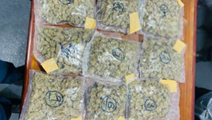 பெல்ஜியத்திலிருந்து இலங்கைக்கு அனுப்பப்பட்ட சிக்கிய ஆபத்தான பொருள்