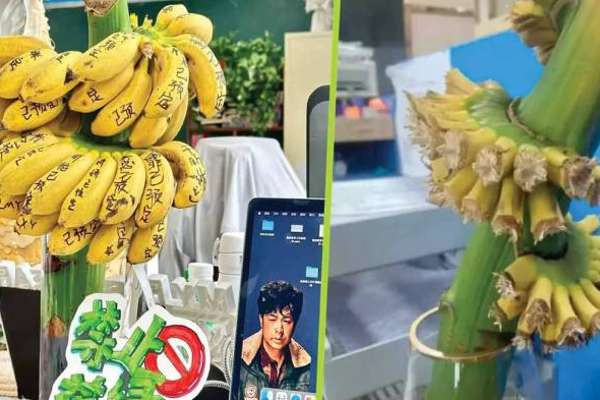  மன அழுத்தத்தை போக்க அலுவலகத்தில் சீனர்கள் செய்யும் வித்தியாசமான செயல்!