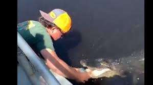 பீர் கேனை திறக்க முதலையின் உதவியை நாடிய இளைஞர்