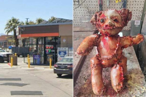 மனித தோலால் ஆன டெடி பொம்மை - அமெரிக்காவில் அதிர்ச்சி