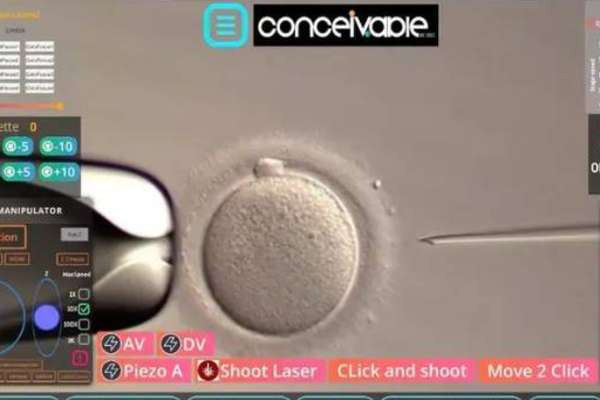 உலகின் முதல் AI குழந்தை பிறந்தது எப்படி? தொழில்நுட்பத்தின் உச்சம்