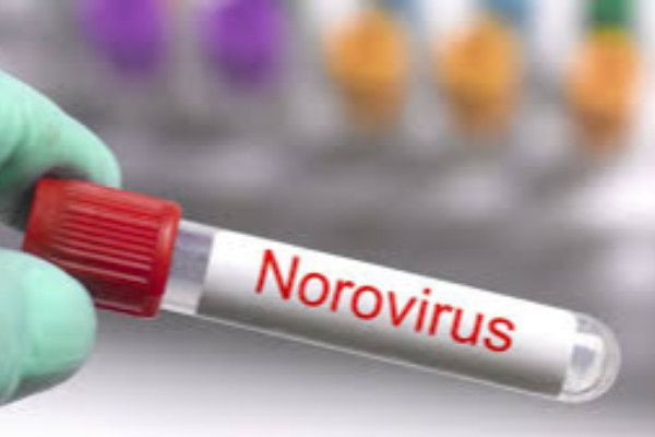 சீனாவில் நோரா வைரஸ் - 100-க்கும் மேற்பட்டோர் பாதிப்பு