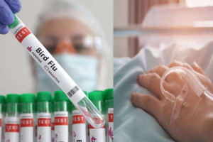   மெக்சிகோவில்  பறவைக் காய்ச்சல் தொற்று -  ஒருவர் பலி