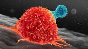 புற்றுநோயாளிகள் குறித்து கனடிய ஆய்வில் அதிர்ச்சி முடிவு