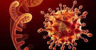 நேபாளத்தில் புதிய வகை கொரோனா தொற்று - 35 பேர் பாதிப்பு!