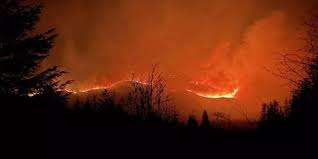 கனடாவில் காட்டுத் தீ காரணமாக  அவசர காலநிலை பிரகடனம்