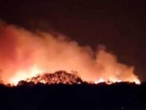 பிரித்தானியாவில் காட்டுத்தீ பரவல் - தீயணைப்பு வீரர்களின் எண்ணிக்கை கணிசமாக குறைவு