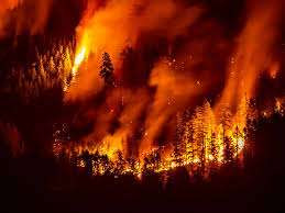 கனடாவில் நிலநடுக்கம் மற்றும் காட்டுத்தீ அபாயம் - விடுக்கப்பட்டுள்ள எச்சரிக்கை