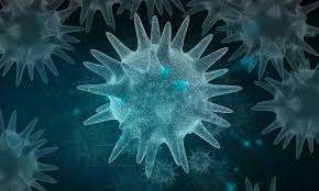 கனடாவில் காய்ச்சல் பரவுகை தொடா்பில் வெளியான அறிவிப்பு