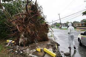 மெலிசா புயலால் பாதிக்கப்பட்ட ஜமைகா - பிரித்தானியா அவசர நிதியுதவி