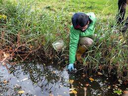 சுவிஸ் நீர்நிலைகளில் எக்கச்சக்கமான பூச்சிக்கொல்லிகள்- ஆய்வில் கண்டுபிடிப்பு