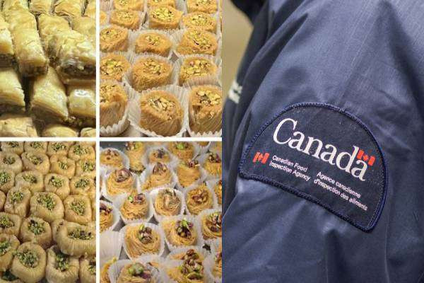 கனடாவில் பிஸ்தா மற்றும் பிஸ்தா சேர்க்கப்பட்ட உணவுப் பொருட்கள் தொடர்பில் எச்சரிக்கை