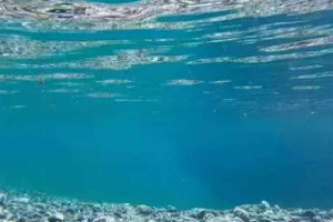 நீர்நிலைகளில்  குறையும் ஆஜ்சிஜன்! ஆராய்ச்சியாளர்கள் விடுக்கும் எச்சரிக்கை 