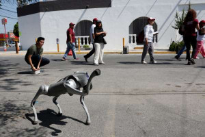 மெக்சிகோ தெருக்களில் ரோபோ நாய்