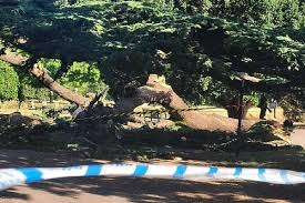 பிரித்தானியாவில் ஸ மரச்சரிவு - 7 வயது சிறுமி பலி