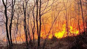 ஸ்பெயினில் பற்றியெரியும் காட்டுத்தீ…..