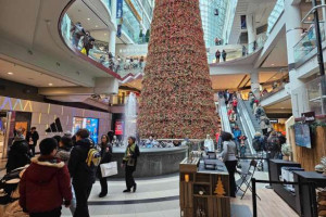 டொராண்டோவில் பனிப்பொழிவு காலங்களில் விதிக்கப்படும் அபராதங்கள்