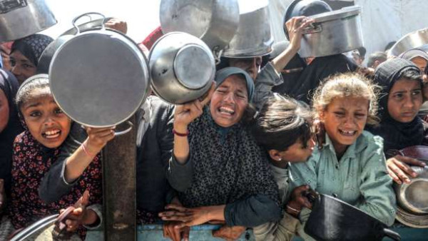 கடல் ஆமைகளை உண்ணும் காசா மக்கள்….!     பட்டினியில் வாடும் நிலை