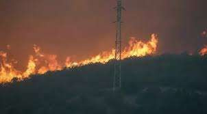 துருக்கியில் காட்டுத் தீயில் சிக்கி 10 பேர் உயிரிழப்பு