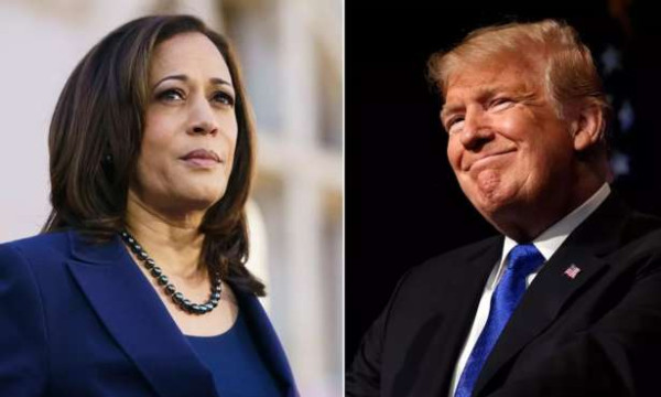 அமெரிக்காவில் கமலா ஹரிசிற்கு  ஆதரவு தெரிவிக்கும்  பிரபலங்கள்...