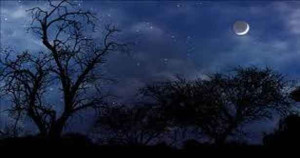 ஓர் இரவுப் பொழுது