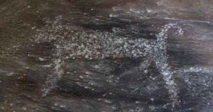   4 ஆயிரம் ஆண்டு பழமையான பாறை ஓவியம் கண்டுபிடிப்பு